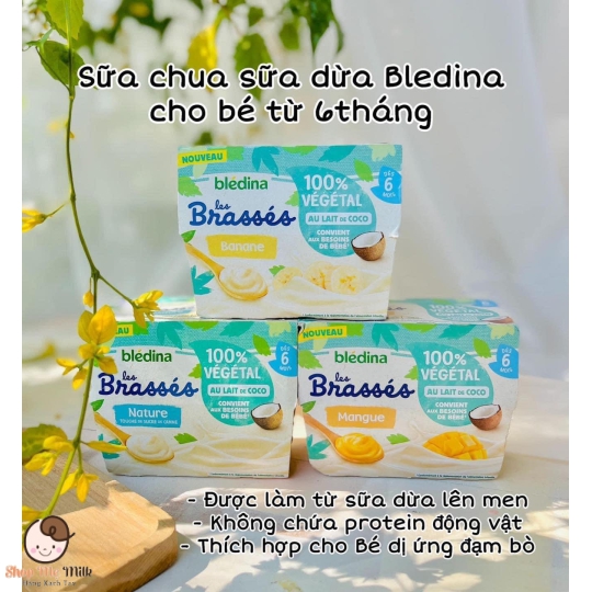 Sữa chua dừa Bledina cho bé dị ứng đạm bò lốc 4 hũ 100g Hàng Air ( mẹ note vị trong ghi chú đặt hàng)